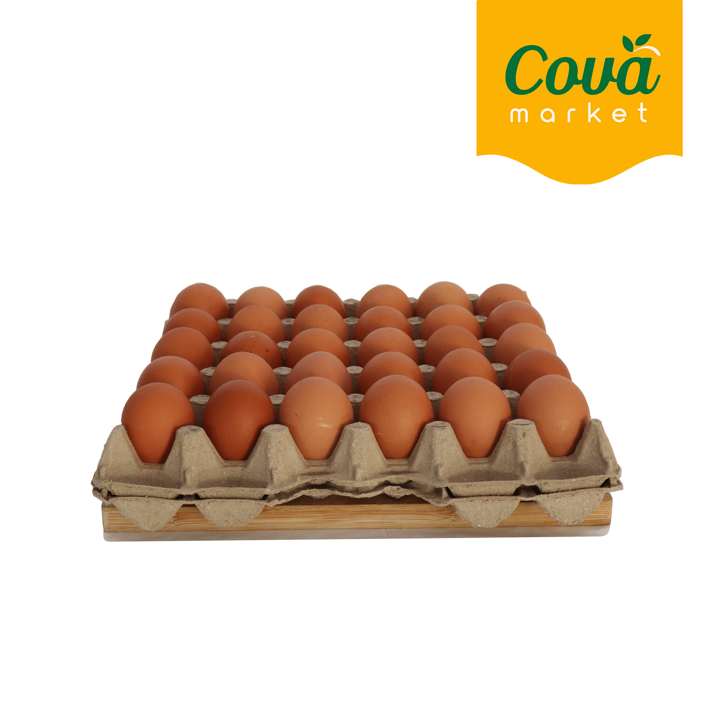 Egg Tray / 鸡蛋 / Telur