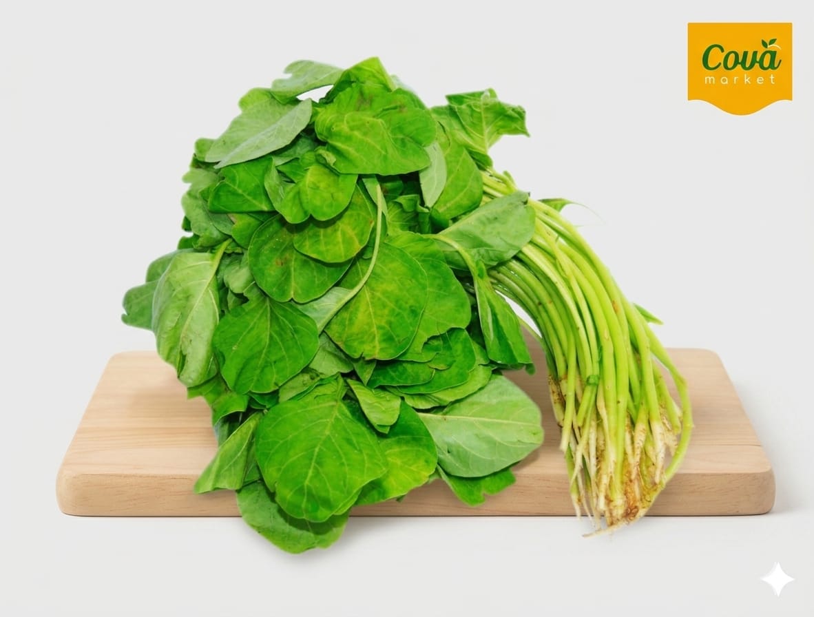 Baby Spinach/苋菜苗/Baby Bayam