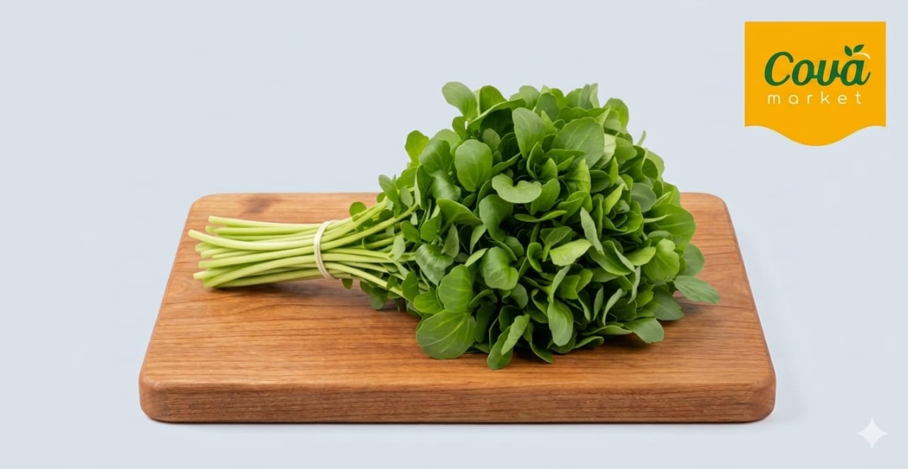 Chinese Watercress/西洋菜/Selada Air