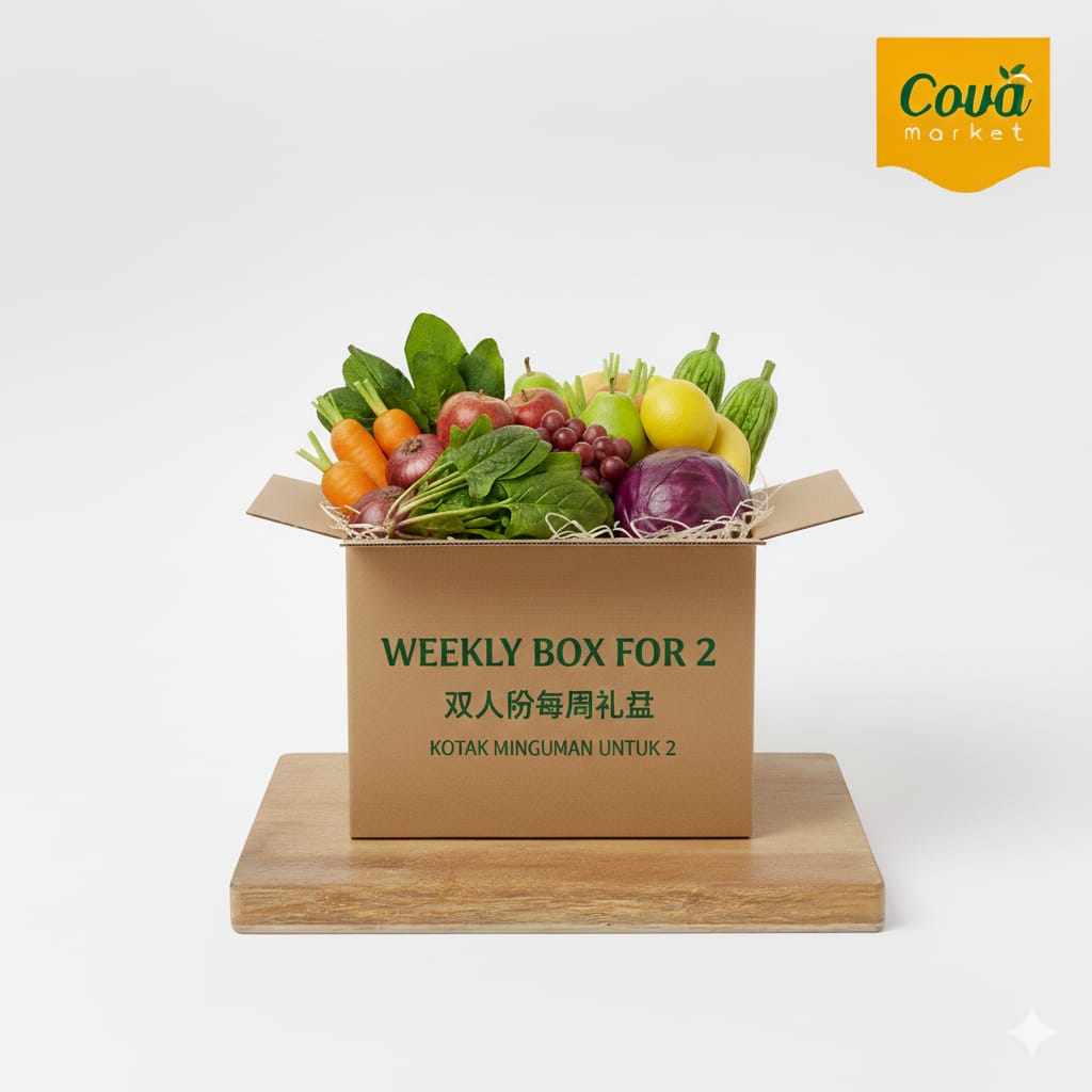 Weekly Box for 2 | Kotak Mingguan 2 | 每周双人箱
