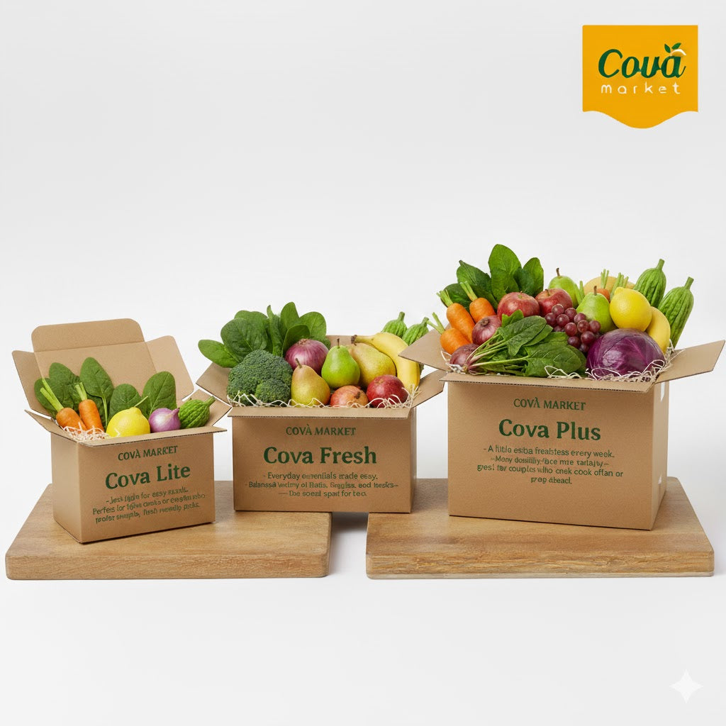Cova Life Series (Value Pack)