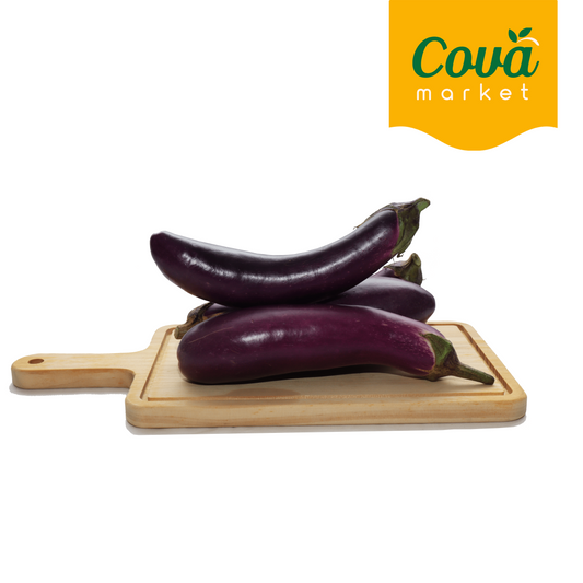 Terung / 茄子 / Eggplant