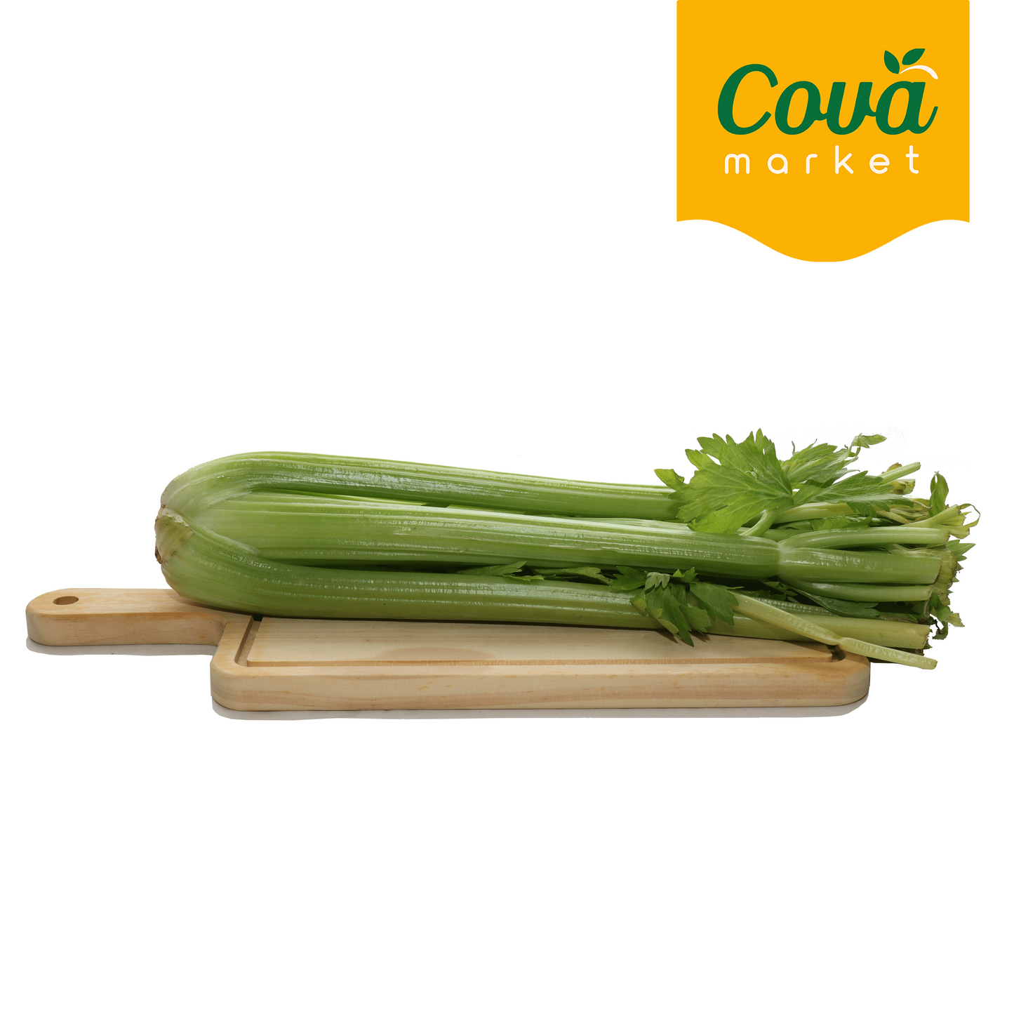 Sederi-Batang Sup / 西芹 /Celery
