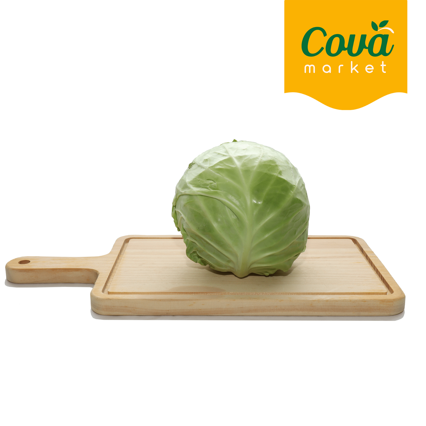 Kubis Beijing / 北京包菜 / Beijing Cabbage