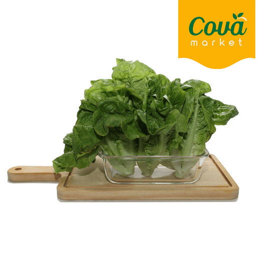 Yau Mak Tam / 油麦 / Romaine Lettuce