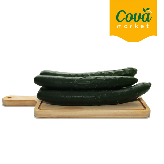 Timun Jepun / 日本黄瓜 / Japanese Cucumber-Kyuri