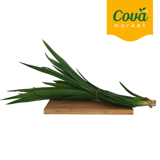 Pandan Leaf / 香兰叶