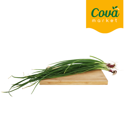 Daun Bawang / 青葱 / Spring Onion