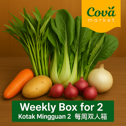 Weekly Box for 2 | Kotak Mingguan 2 | 每周双人箱