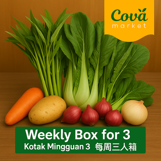 Weekly Box for 3 | Kotak Mingguan 3 | 每周三人箱