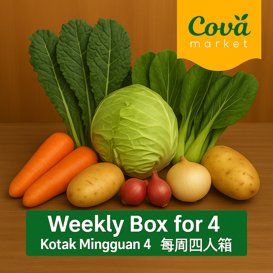 Weekly Box for 4 | Kotak Mingguan 4 | 每周四人箱