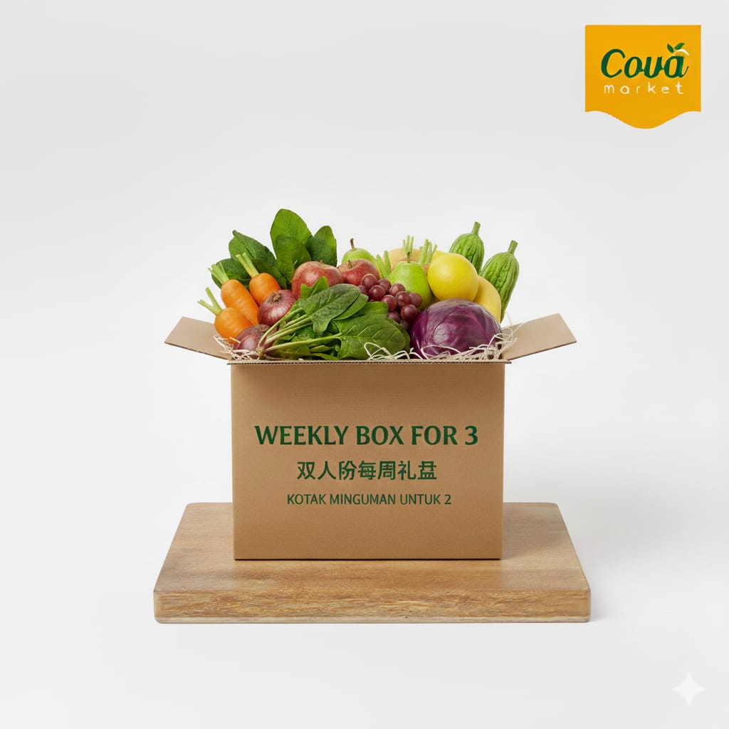 Weekly Box for 3 | Kotak Mingguan 3 | 每周三人箱