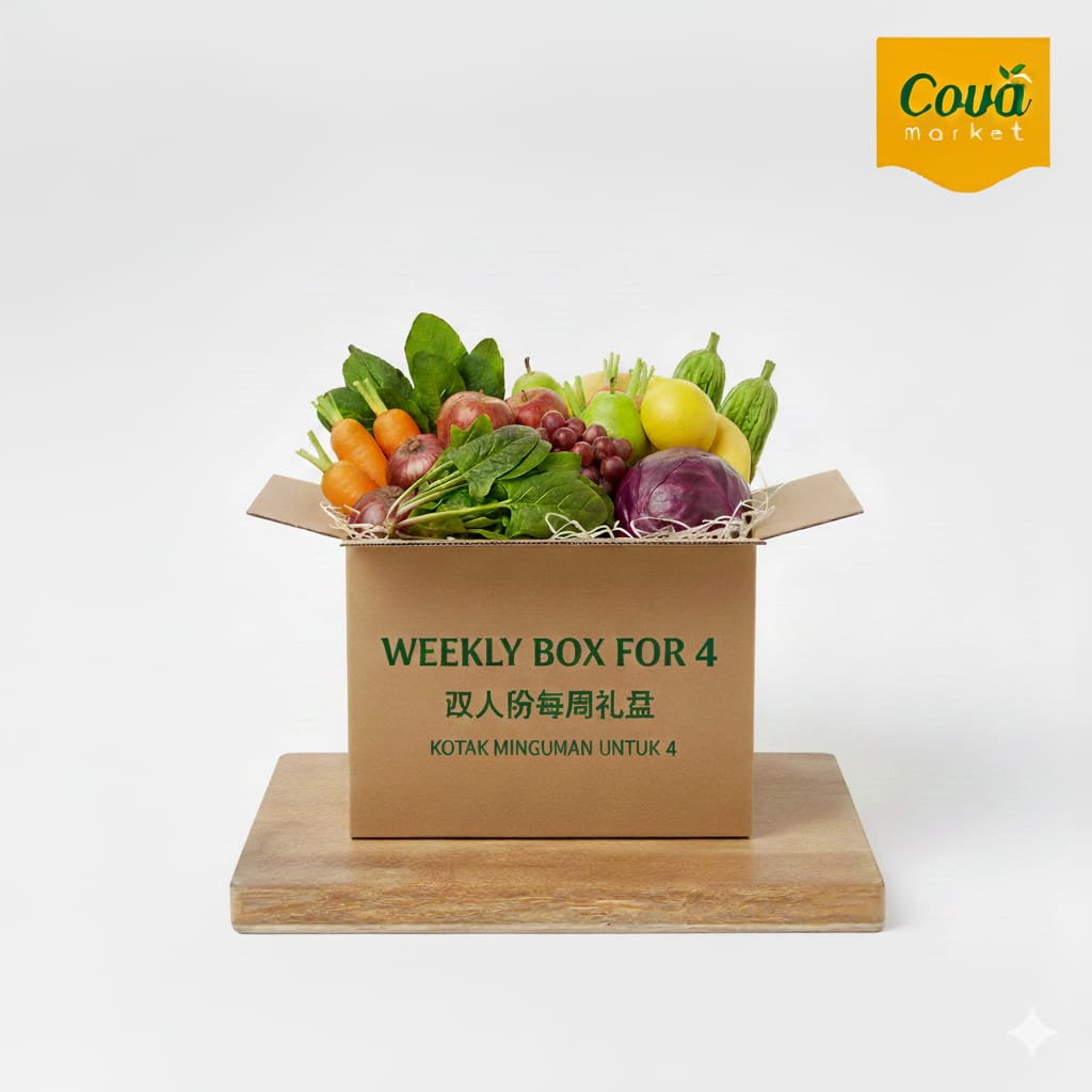 Weekly Box for 4 | Kotak Mingguan 4 | 每周四人箱